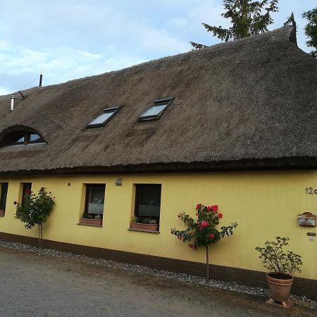 Ferienwohnung Otto Rappin Exterior foto